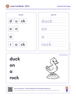 Preview of “duck on a rock”