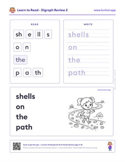 Preview of “shells on the path”