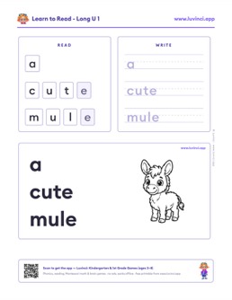 Preview of “a cute mule”