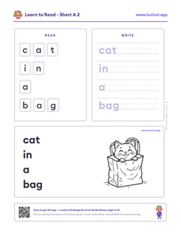 Preview of “cat in a bag”