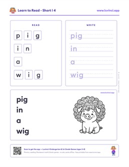 Preview of “pig in a wig”